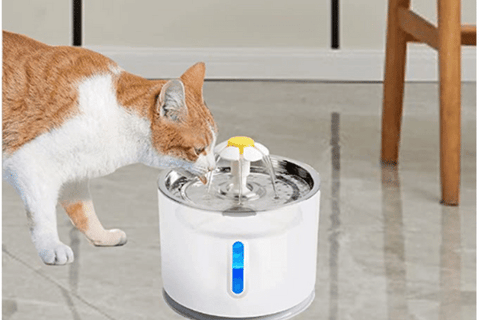 Cat Mate Water Filtration System