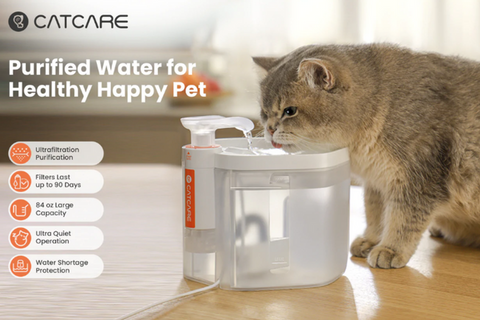 Cat water fountains with filters