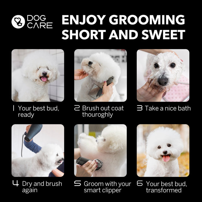 are grooming clipper blades right for your dog