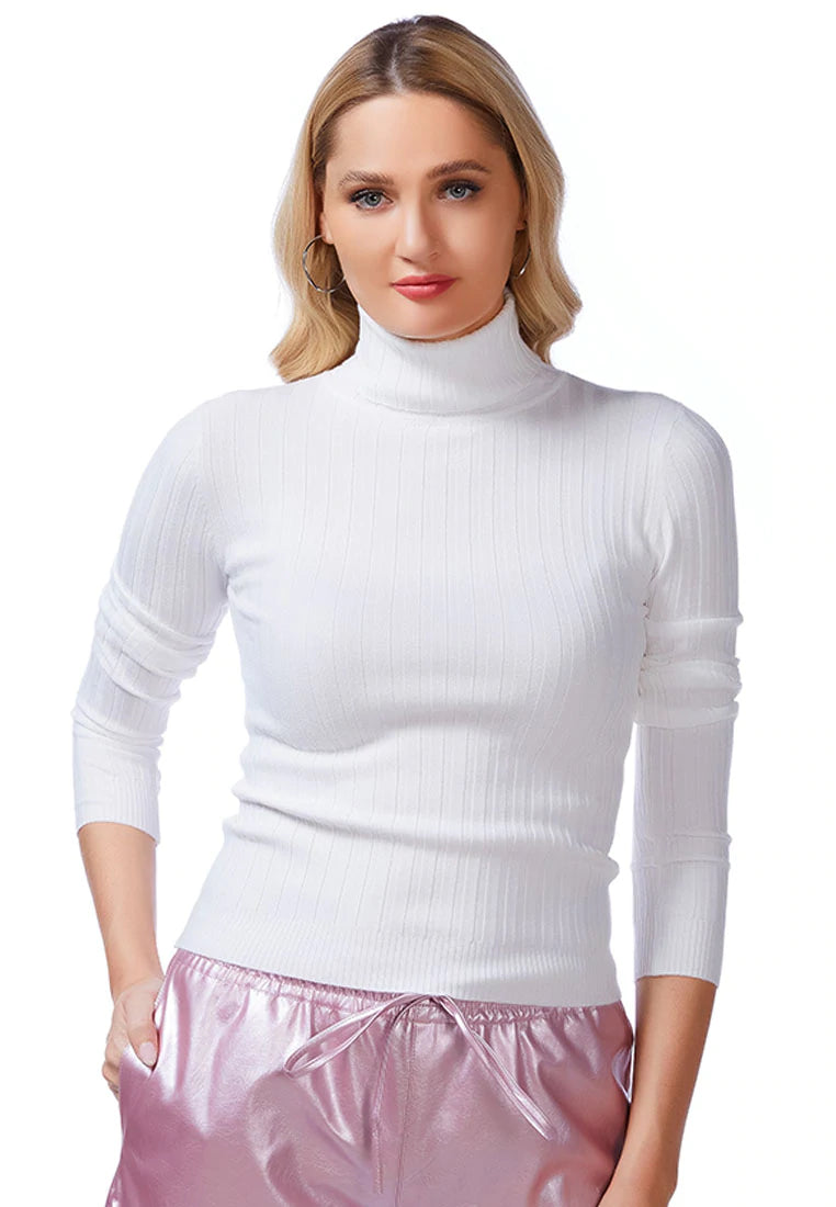 FULL SLEEVE RIB KNIT TURTLE NECK TOP