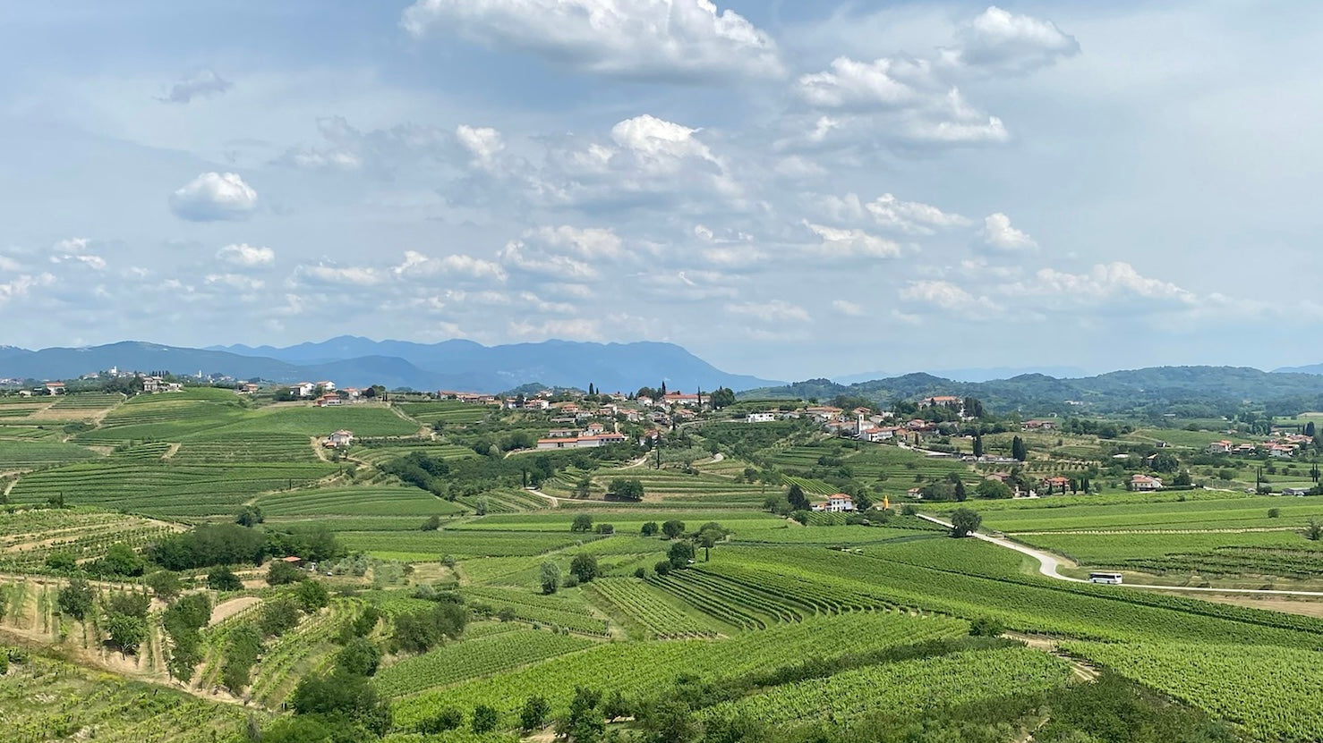 Landscape of Istria, Croatia.