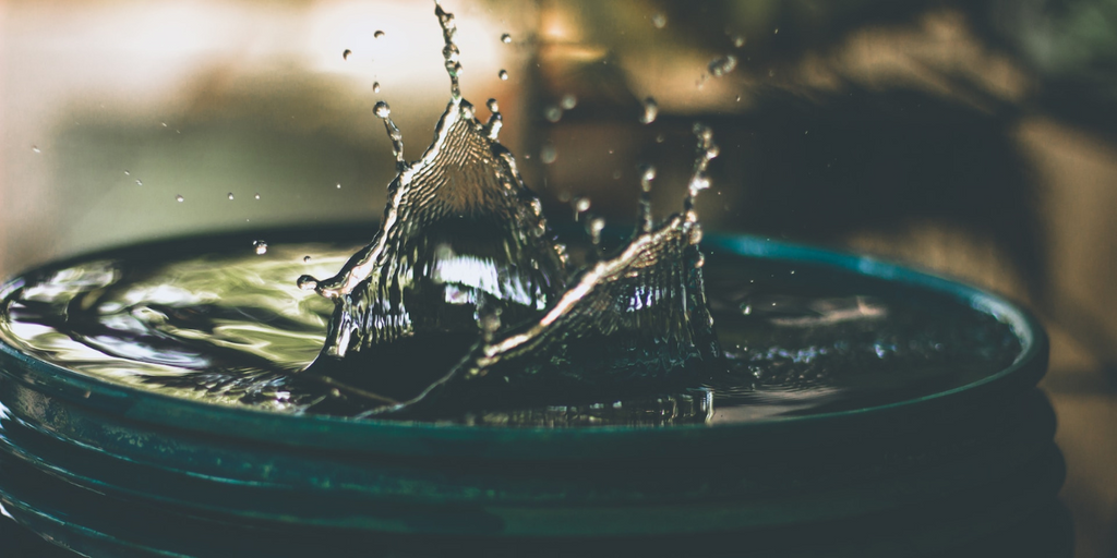 Elimina fuentes de agua estancada