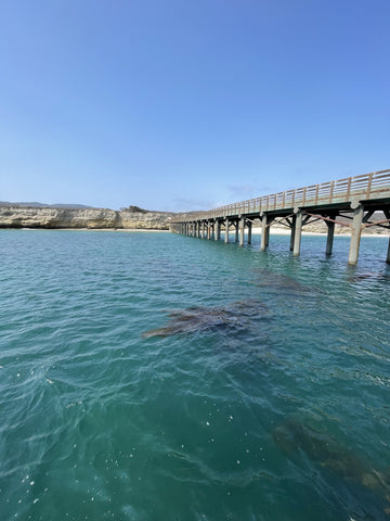 Pier at Santa Rosa Island