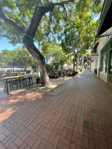 Santa Barbara street