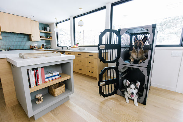 Protect Your Stuff With A Cozy Crate For Your Dog 