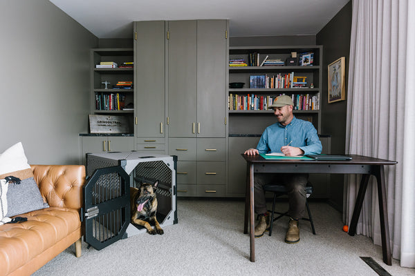 Protect Your Stuff With A Cozy Crate For Your Dog 