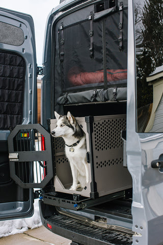Dog crate with dog in sprinter van 