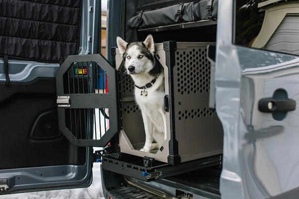 How To Secure A Dog Crate In A Car So You’re Ready For Adventure