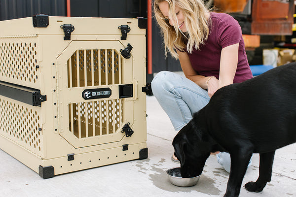 How To Find The Right Size For Your Dog’s Perfect Crate