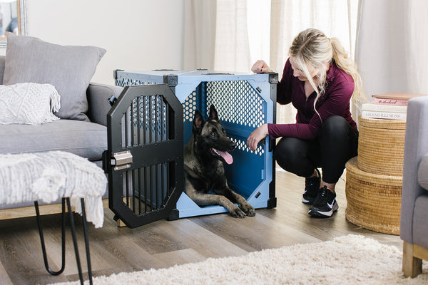 How To Crate Train A Dog Is The Most Important Trick You’ll Ever Learn Together