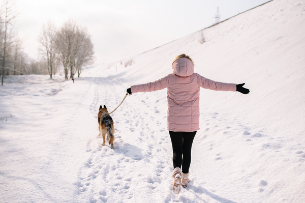 6 Tips to Keep Your Dog Safe and Warm in the Winter