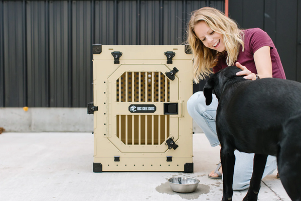 Using A Crate To Help A Dog With Separation Anxiety
