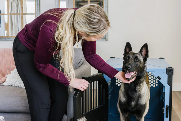 Your Dog Doesn’t Have To Destroy The House When Left Alone