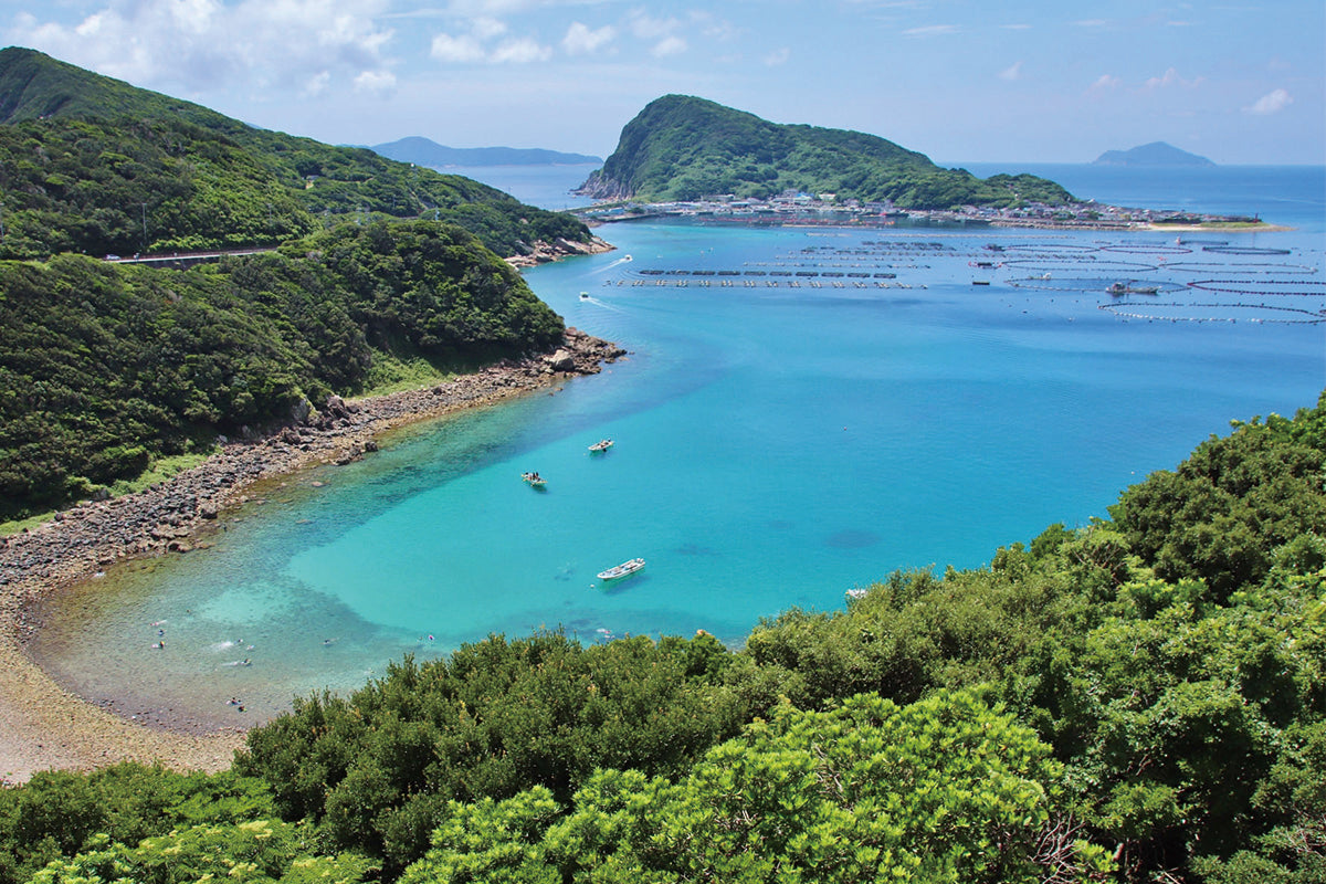 高知県大月町　柏島の海