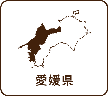 愛媛県