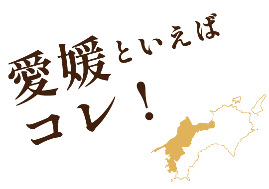 愛媛といえばこれ！