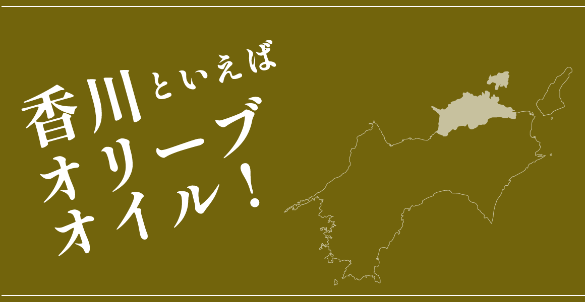 香川のオリーブオイル特集