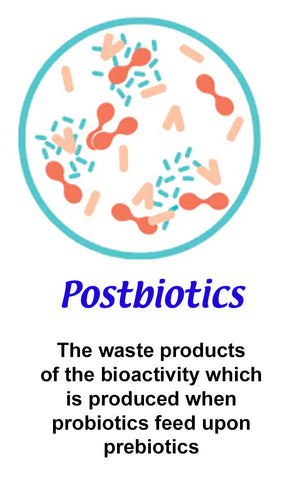 Postbiotics are the waste products of the bioactivity which is produced when probiotics feed upon prebiotics