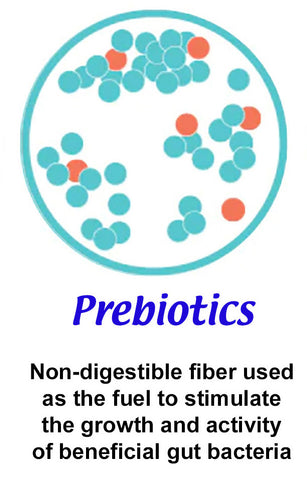 Prebiotics are non-digestible fiber used as the fuel to stimulate the growth and activity of beneficial gut bacteria