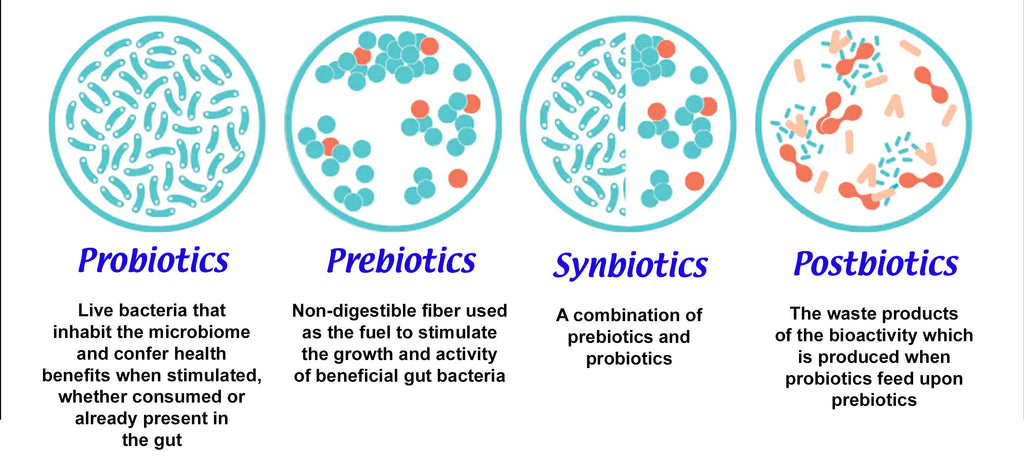 Probiotics, Prebiotics, Synbiotics, Postbiotics