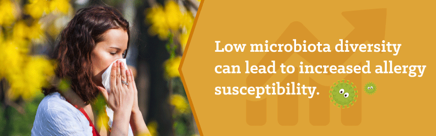 Graphic showing low microbiota diversity can lead to increased allery susceptibility