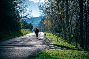 Image of a person walking down a road in a rural environment