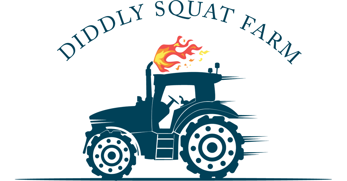 diddlysquatfarmshop.com