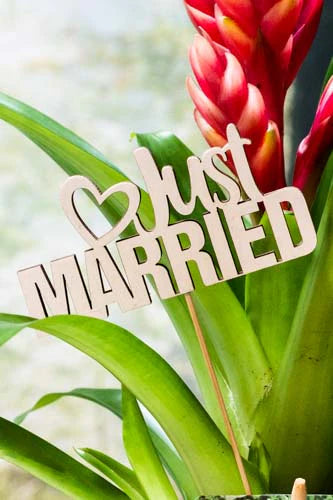 Just married-Stecker