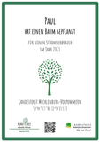 Baumspende zum CO2-Ausgleich mit Zertifikat (grün) - Downloadversion zum sofortigen Selbstdruck