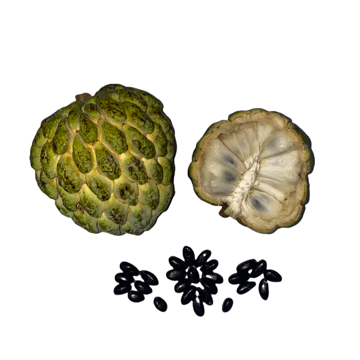 Sugar Apple Seeds