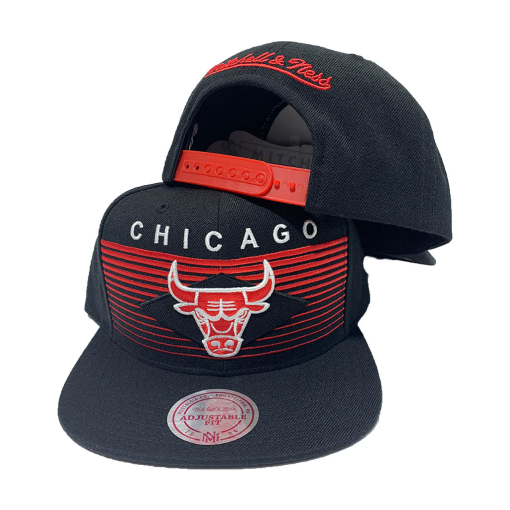 NBA Toronto Raptors Mitchell & Ness Hardwood Classics Monument Snapbac -  Just Sports Warehouse