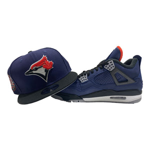 toronto jordan 4