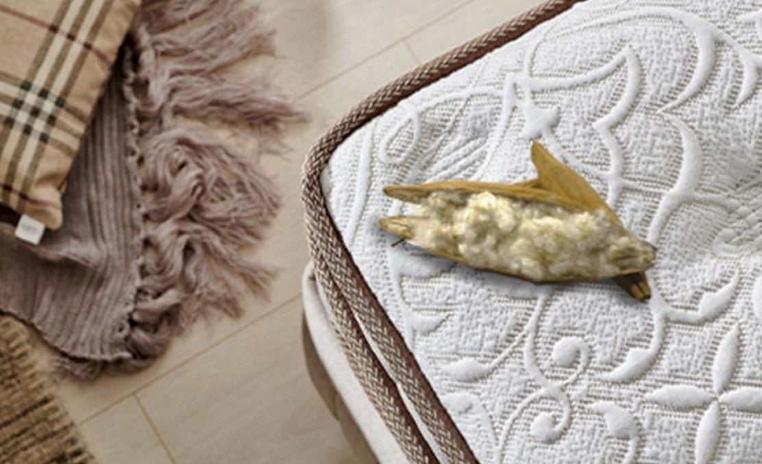 BAMBI KAPOK NATUREL Lit coffre, Tête de lit et Matelas au Kapok Biologique - Bella Home