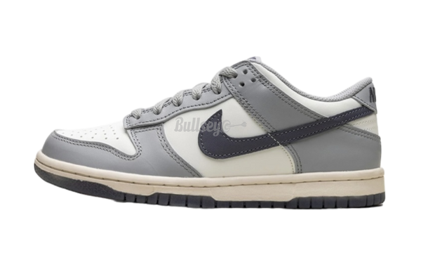 nike Cool Dunk Low "Platinum Tint Light Carbon" GS-Urlfreeze Sneakers Sale Online