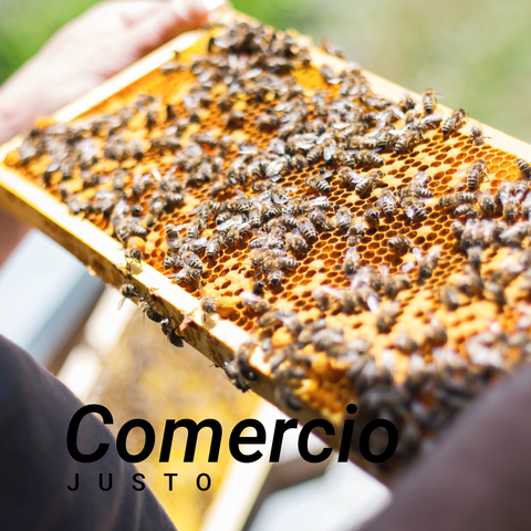 Comercio justo, comercio justo miel chile, comercio justo miel orgánica, comercio justo en apicultural
