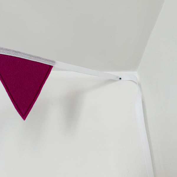 Hanging Bunting