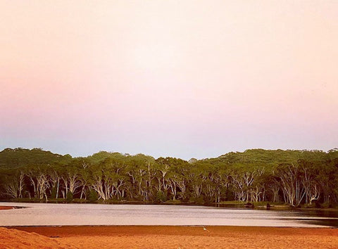 Avoca Lagoon, New South Wales