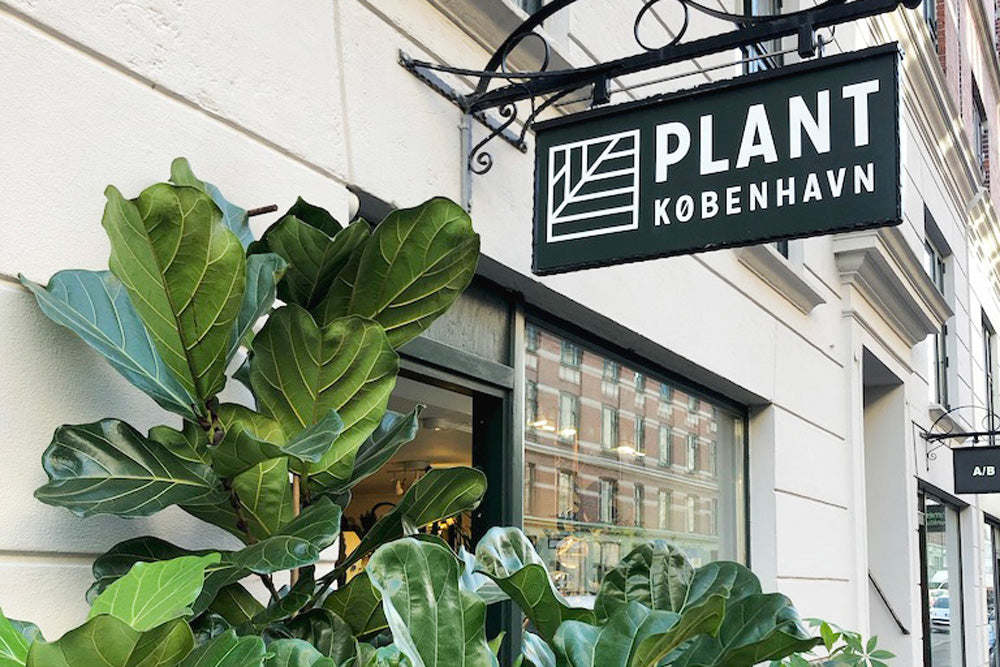 i Jægersborggade – Plant København