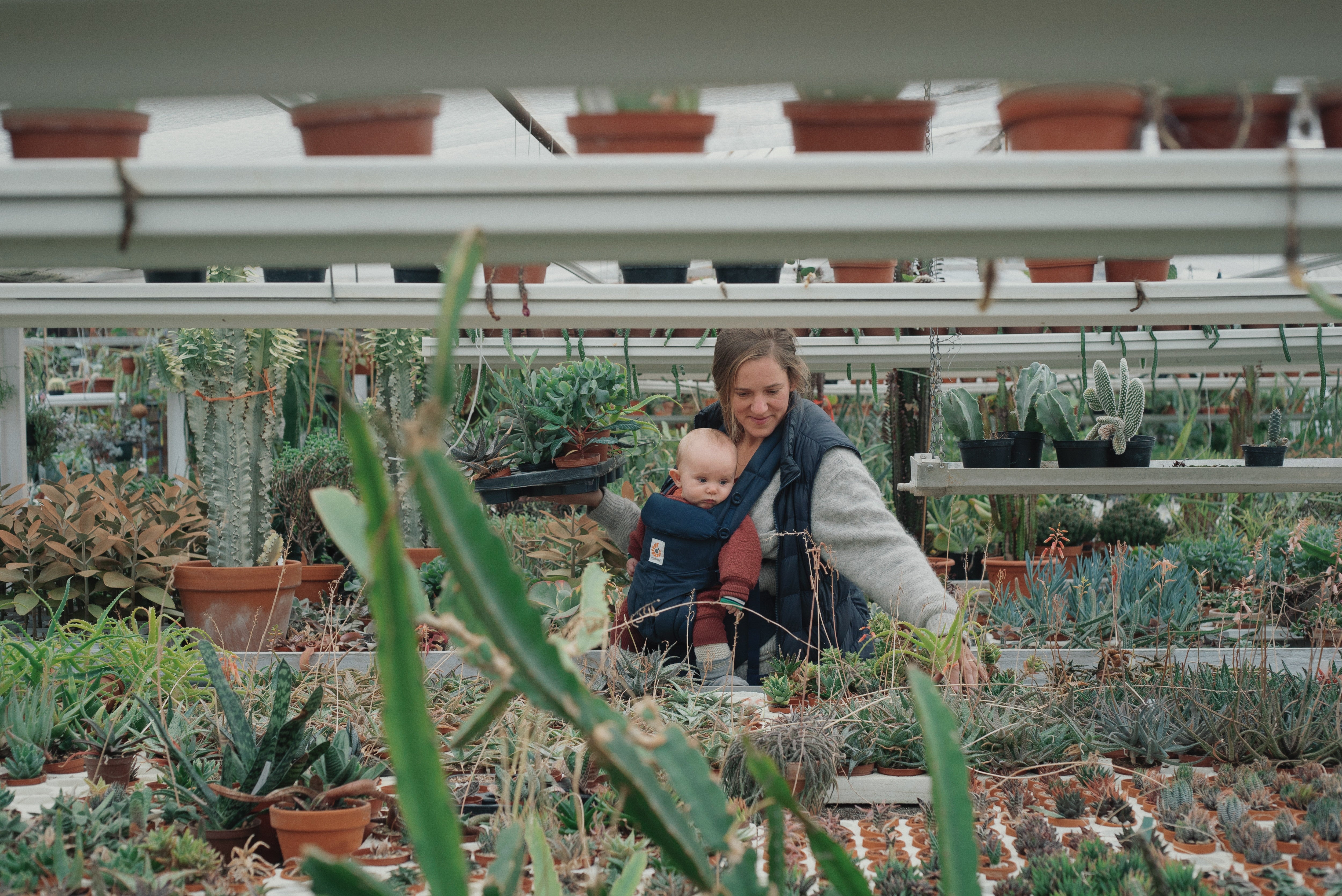 planteplanter