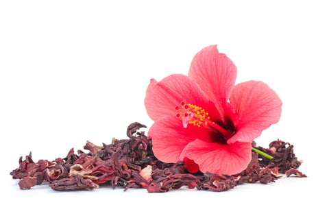 Hibiscus flower is thy medicine for internal cellular healing on a self-love journey