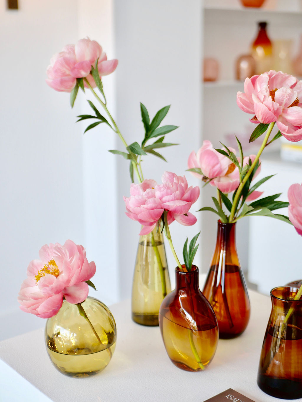 isadia x monmouth vase collaboration