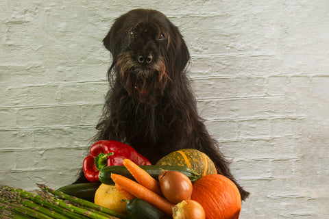 Photo of Wolf Hound Dog Sitting Up Against a Counter Full of Fresh Raw Fruits and Vegetables
