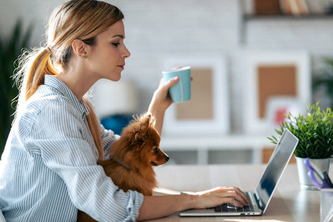 Woman sitting drinking a beverage while on her labtop with her small dog on her lap.