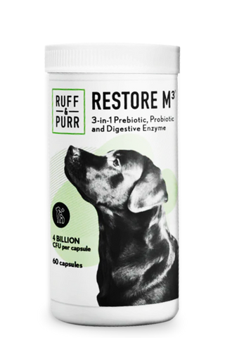Single bottle of Restore M3® a Probiotic, Prebiotic & Digestive Enzyme product for pets