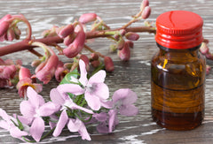 natural herbal remedy tincture and flowers