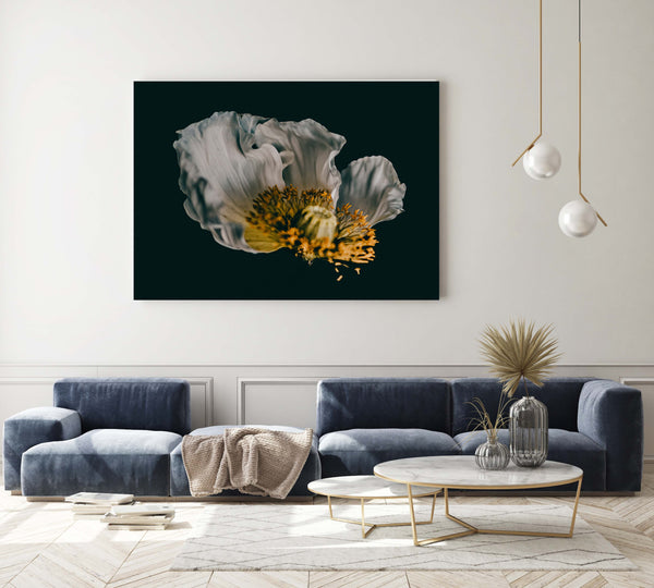 Example of Extra-large Fine Art Giclée Print by Magdalene Marx