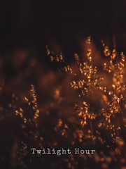 Twilight Field of Flowers Photo by Magdalene Marx