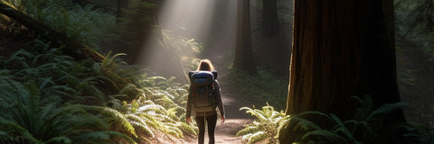 Female walking through the redwoods