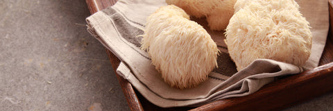 Lions Mane mushrooms