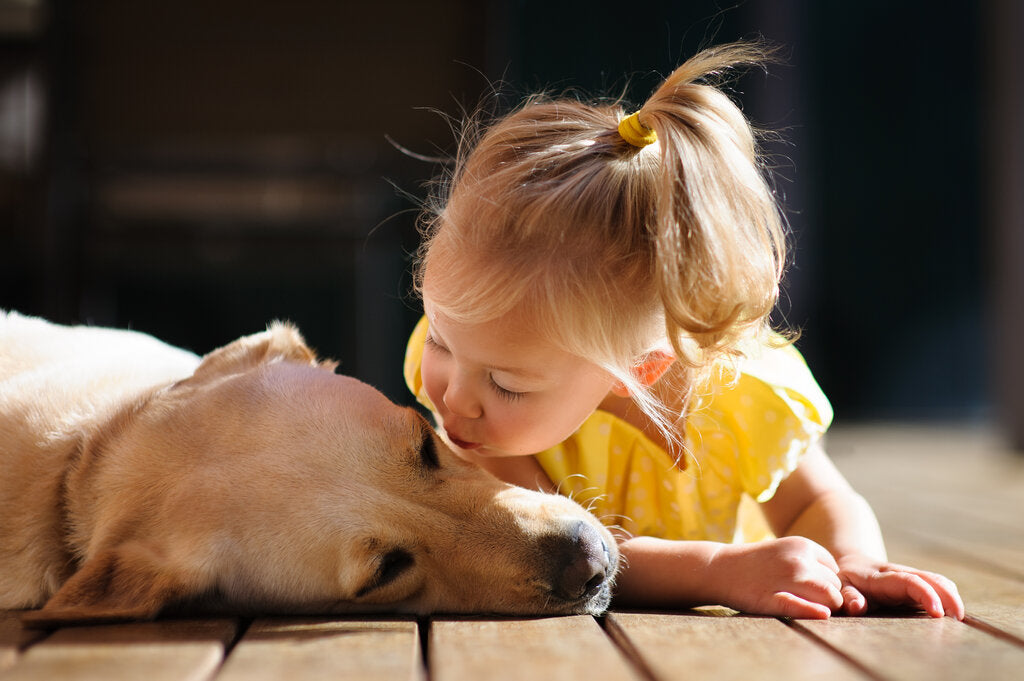 do dogs kiss to show affection